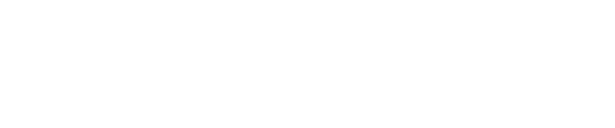 Drone Tech Aerial logo: a hand-drawn fly with a vintage camera for a head, beside the company wordmark